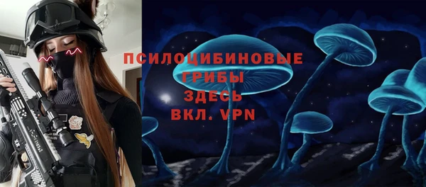 mix Пестово