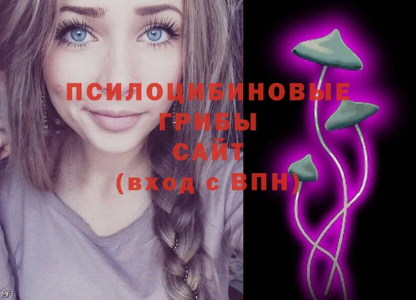 мяу мяу мука Переславль-Залесский