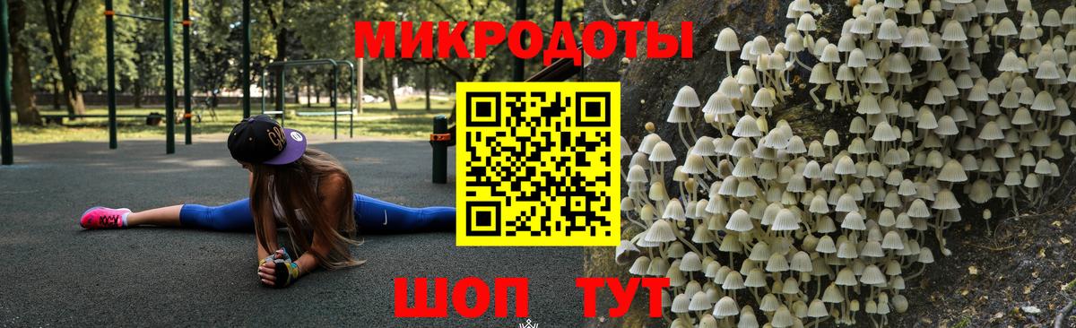 Псилоцибиновые грибы Magic Shrooms Ртищево